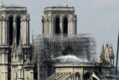 Bees living on Notre-Dame cathedral roof survive blaze